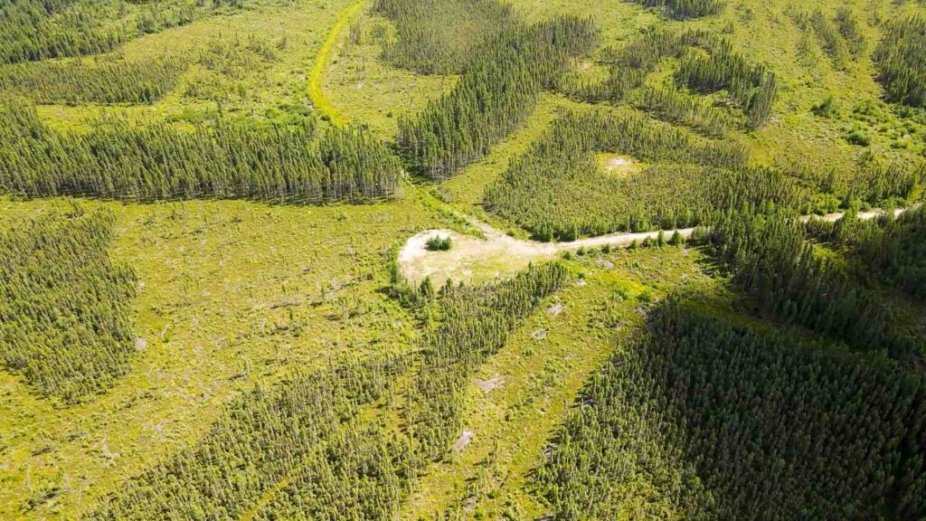 251122 Main Site 300